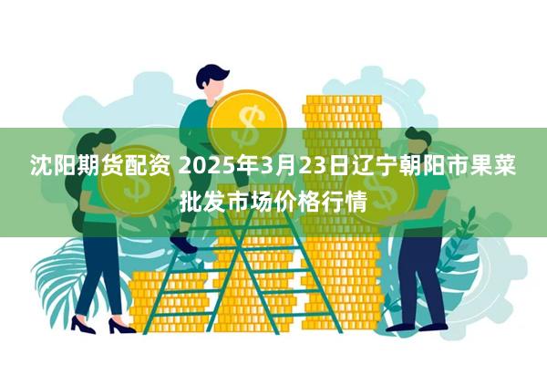 沈阳期货配资 2025年3月23日辽宁朝阳市果菜批发市场价格行情