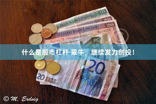 什么是股市杠杆 蒙牛，继续发力创投！