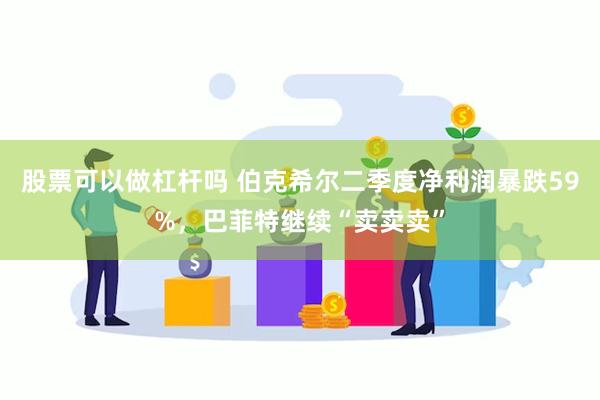 股票可以做杠杆吗 伯克希尔二季度净利润暴跌59%，巴菲特继续“卖卖卖”