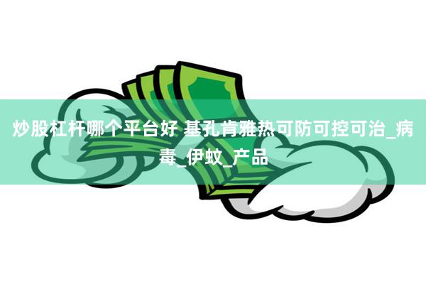 炒股杠杆哪个平台好 基孔肯雅热可防可控可治_病毒_伊蚊_产品
