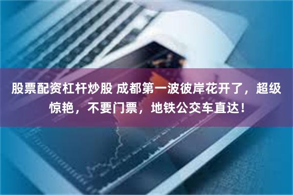 股票配资杠杆炒股 成都第一波彼岸花开了，超级惊艳，不要门票，地铁公交车直达！